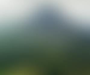 TRAIL des Abeilles 2023 - Nice Matin