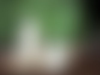            5 boissons végétales🍶