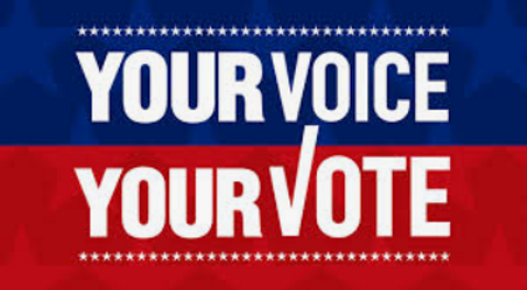 Your Vote your voice.png