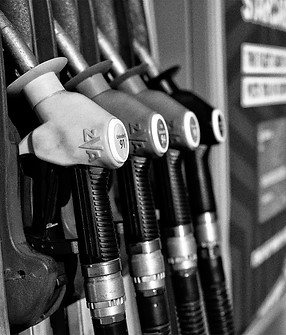 bowser-2023-05-23-00-36-38-utc copy.jpg