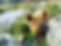 2AB95D7F-EDEB-4488-85E4-D0B8129E5512.jpeg