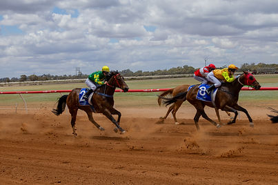 Raciong horses