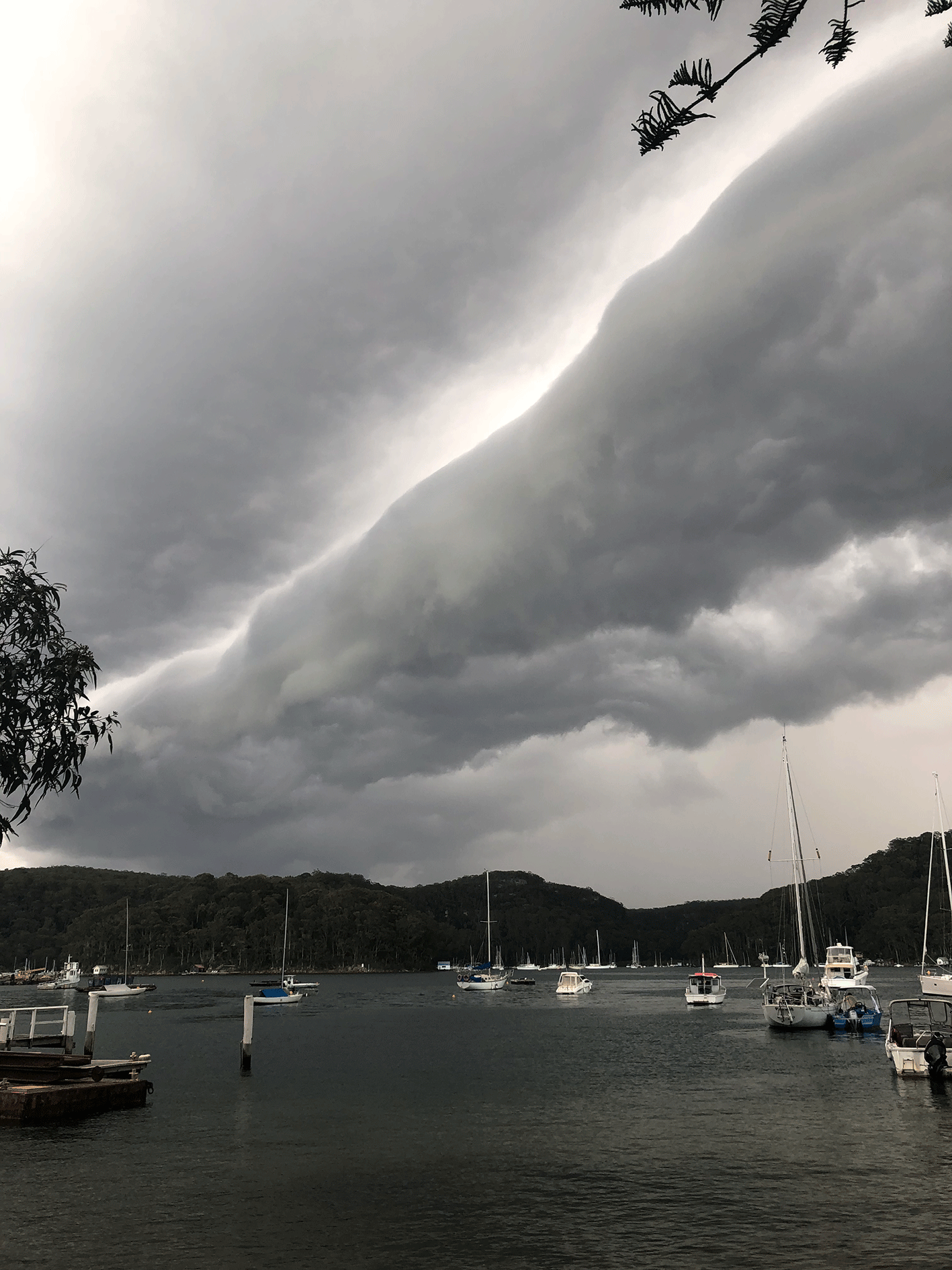Storm by Cathy Shelly