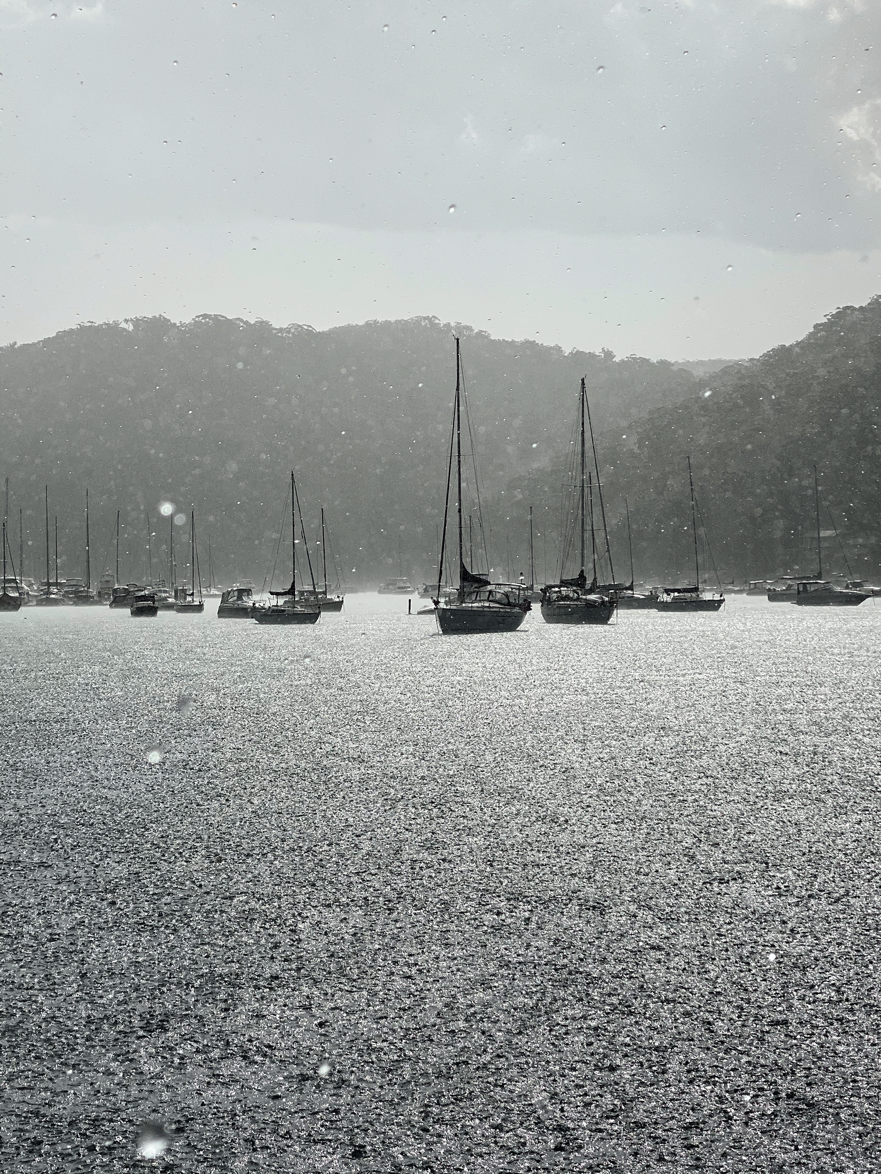 Rain by Shane O'Neill