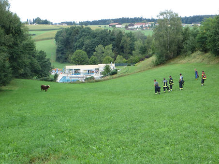 Einsatz: Tierrettung