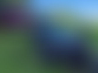 Einsatz VU Aufräumarbeiten