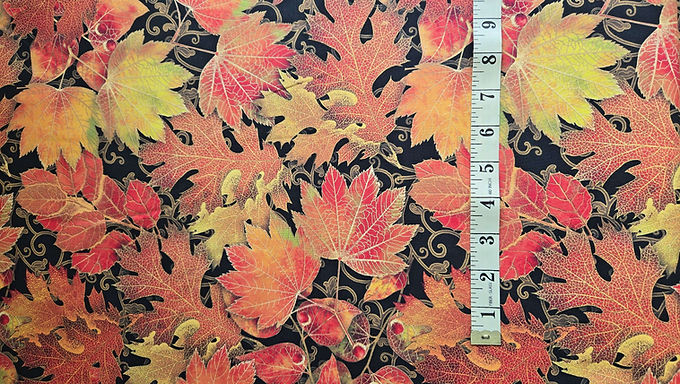 Coton 100%  2081