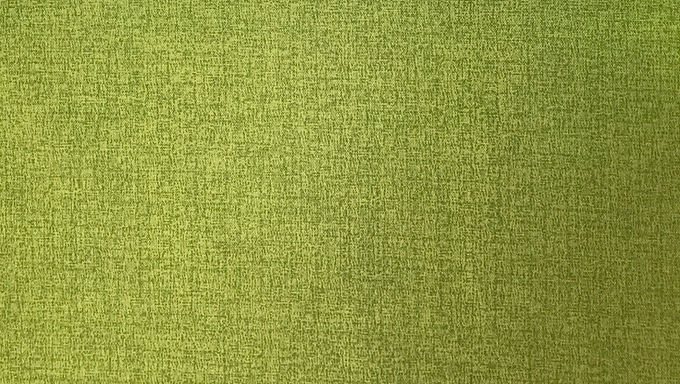 Tissus extérieur 1291