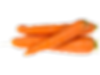 carottes 500g