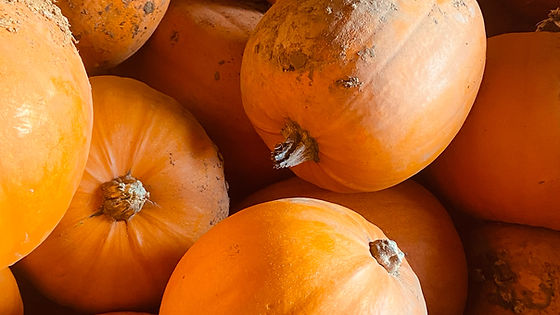 Courge Halloween 3kg