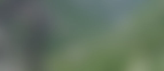 Arshan, the foothills  of the Sayans