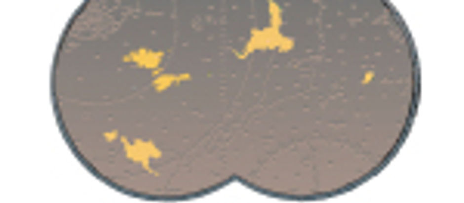 Summary of Northern Four Project