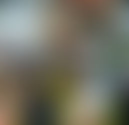 Mairiporã em alerta: bairros têm risco de desbarrancamento e famílias recebem apoio emergencial