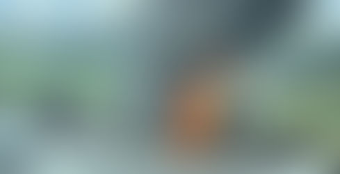 Pane elétrica provoca incêndio em veículo na Fernão Dias, em Mairiporã.