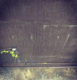 One Rainy Afternoon