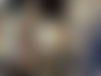 Siamese Cats Available