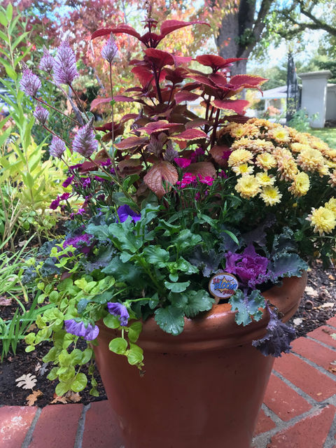 IMG_0860.jpeg