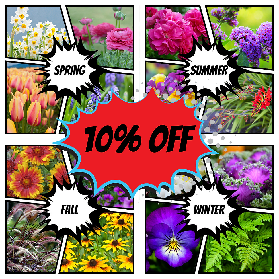 Seasonal Subscription