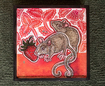 sweet-berry-004.jpg