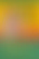 【獅墨書訊第58期】漢人魔咒:重新思考華人與漢族