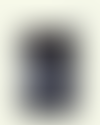 【獅墨書訊第77期】督憲制軍:二十世紀的兩任香港總督