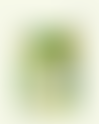 【獅墨書訊第80期】搵食旅程:從粵菜到香港菜?