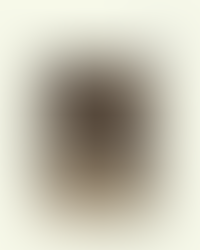 【獅墨書訊第75期】影視史學:從書寫歷史到拍攝歷史