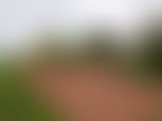 木の皮活用事例 子供の遊び場