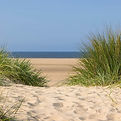 Sandy beach scene with tall grass, ocean, and blue sky on a clear day.