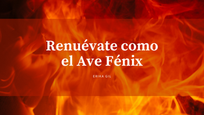 Trabaja en renovarte como el Ave Fénix