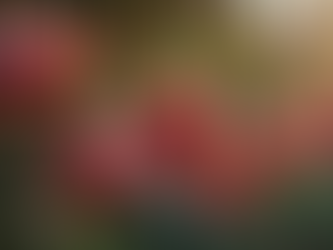 Top Techniques for Flower Keepsakes: Preserve Your Precious Memories