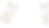 botanical background 3.png
