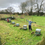 Thumbnail: Hedgerow Tree Planting Donation