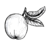 Untitled design (16).png