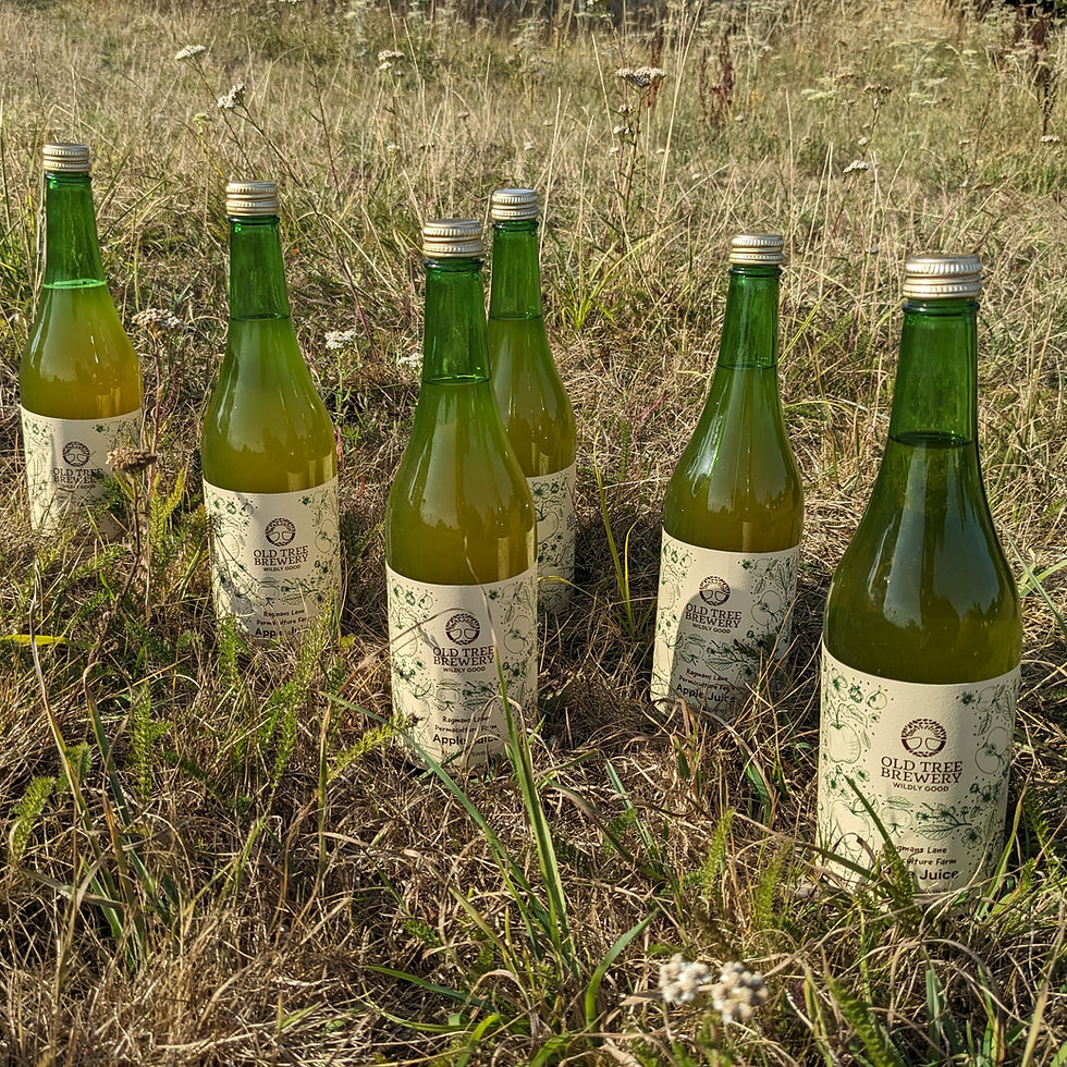Ragmans Lane Heritage Handpicked Apple Juice | Subscription | Old Tree Brewery