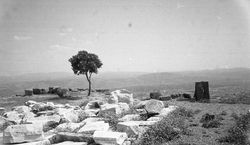 Ephesus, Turkey 2008