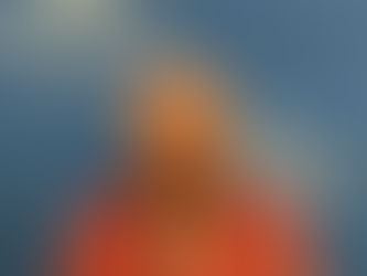 Décès de Robert BLISS