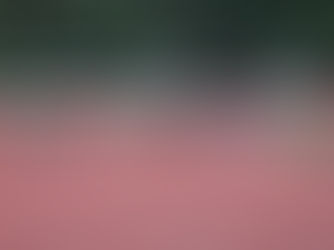 Double évènement au Stade d'Hautepierre