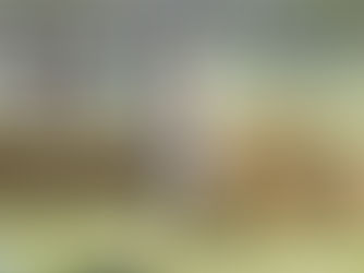     Championnats du monde de cross-country