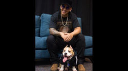 daddy-yankee-perro-kaleb-fotos6-6afed