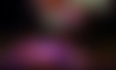 Win Festival Tickets at the Annual Meeting!