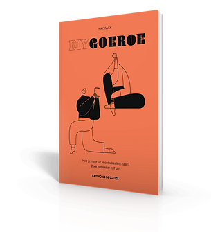 Boek DIY Goeroe door Raymond de Looze