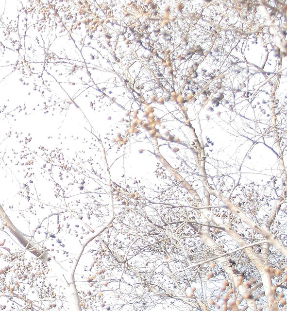 IMG_5278 sA_edited.jpg