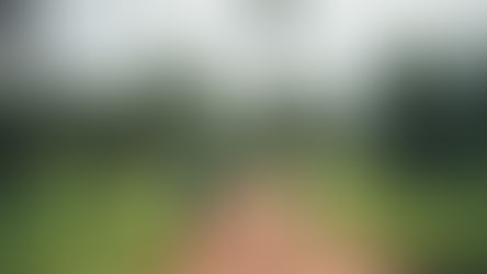 The imperative for Leaving No-One Behind and the MECS programme