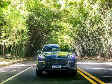 Porsche Alcança Recorde de Vendas no Brasil e Registra 310 Mil Veículos Entregues Globalmente em 2024