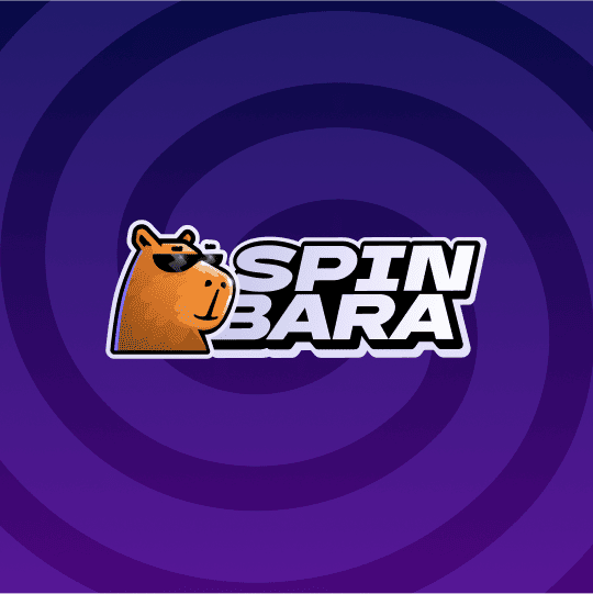 https://spinbara-at.at/