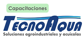 MARCA (3).png