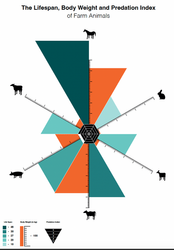 Information Design