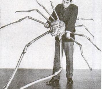 Lanky legs, sponge fashion, and Japanese Spider Crabs