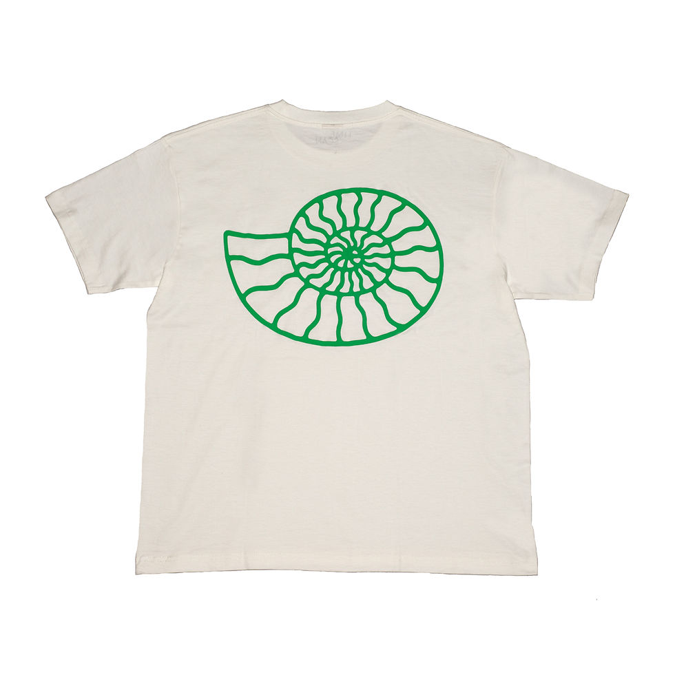 サムネイル： AMMONITE (NATURAL)